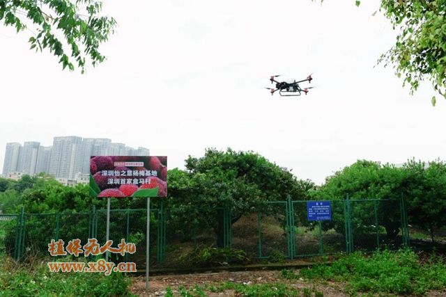 极飞农业无人机在广东“盒马村”智慧农场进行无人化植保喷洒